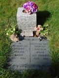 image of grave number 959246